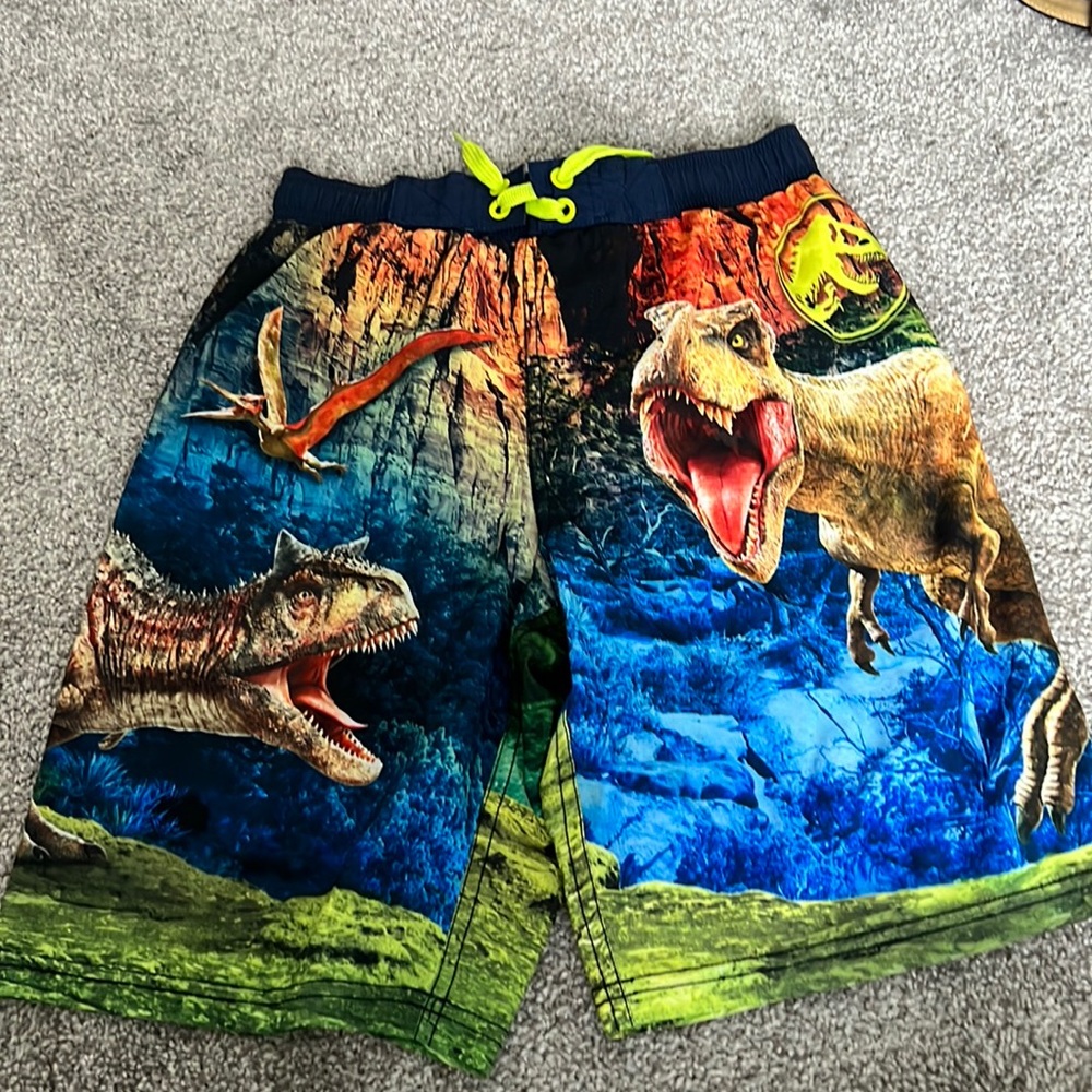 Boys size 10/12 swim trunks